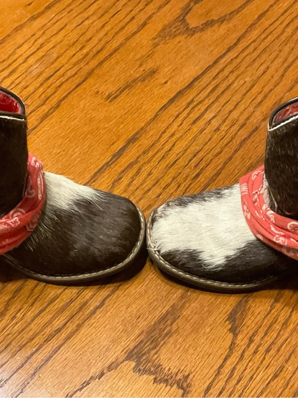 Dan Post cowhide upper